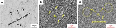 Influence of Isothermal ω Transitional Phase-Assisted Phase Transition From β to α on Room-Temperature Mechanical Performance of a Meta-Stable β Titanium Alloy Ti−10Mo−6Zr−4Sn−3Nb (Ti-B12) for Medical Application